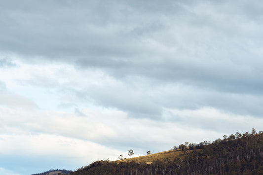 green grass field under white clouds during daytime
