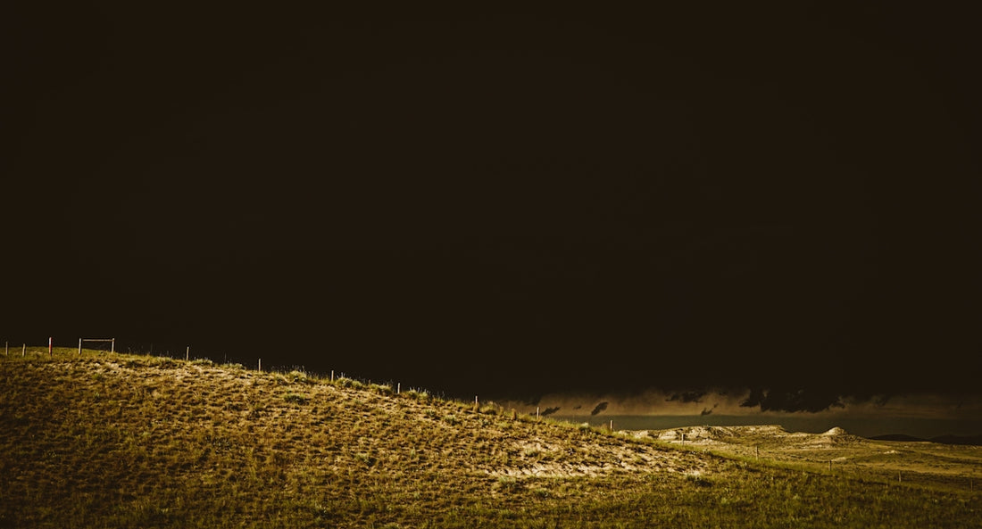 brown grass field during daytime