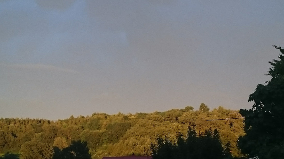 a red truck is parked in front of a mountain
