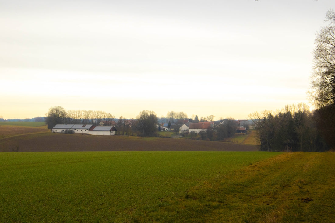 a green field with houses in the distance