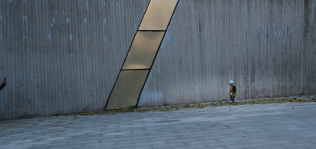 A cat walks along a textured concrete wall.
